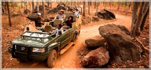 I Safari Taj nel cuore dell’India