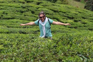 Dgv Travel aggiunge Giappone, Thailandia, Corea del Sud e Armenia