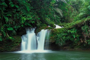 Exotic Tour, itinerari tra Malesia e Singapore