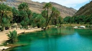 Mistral Tour presenta il meglio degli Emirati e dell’Oman