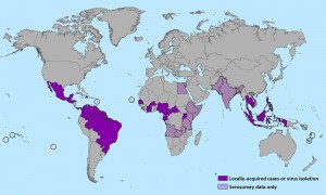 Zika: presa di posizione della OMS e della UNWTO