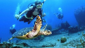 British Virgin Islands, una campagna a sostegno del turismo