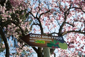 Leolandia inaugura l’orto didattico