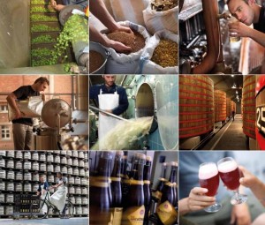 Festival della birra, numerosi appuntamenti nelle Fiandre