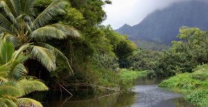 Brasilplanet: andiamo a scoprire l’Amazzonia