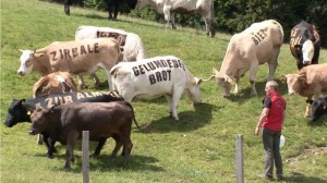 Carinzia all’aria aperta tra sport acquatici e trekking