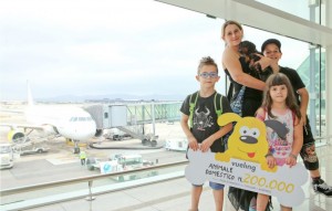 Vueling ammette in cabina gli animali domestici