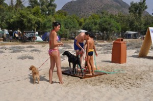 Tiliguerta Camping Village tra le migliori strutture “animal friendly”