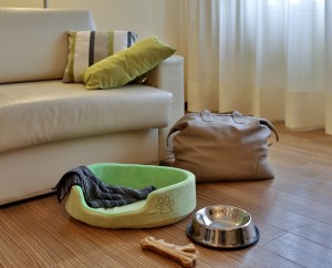 Best Western Italia premiata come gruppo Animal Friendly 2016