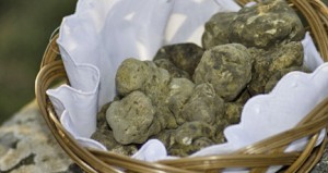 Il Piccolo Tiglio: pacchetti gastronomici low budget