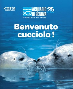 Acquario di Genova e Alpitour protagonisti di “Dai un nome al cucciolo di foca”