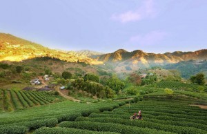 La “Thailandia responsabile e sostenibile” firmata Naar