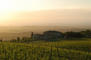 Toscana, continua il trend positivo per il settore agrituristico