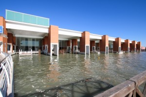 Marco Polo: al via il Water Terminal e il Moving Walkway