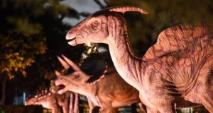 Dubai ricrea il Giurassico con cento dinosauri a Zabeel Park