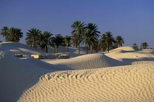 Ente tunisino: bando per la campagna pubblicitaria