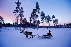 Finlandia, ricco calendario per celebrare l’indipendenza