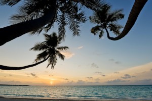 kandima_maldives_1061_lr