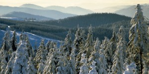 Germania: previsione 2017 in crescita