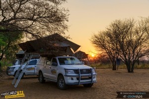 Viaggia con Carlo si affida a Open Mind