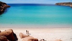 Viaggi Levi alla scoperta della Baja California