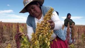 Con Latam in Perù alla scoperta dei “Superfoods”