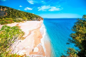 Margò lancia la programmazione Albania