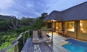 Shamwari Game Reserve: viaggi di nozze tra safari e spa di lusso