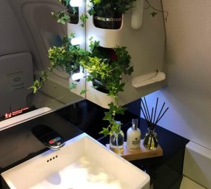 Turkish Airlines: in business class arriva il “Living Garden”