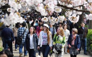 Giappone, record di visitatori dall’Italia in aprile