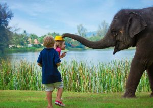 Thailandia per famiglie, sim card gratuite e una App con sconti e offerte