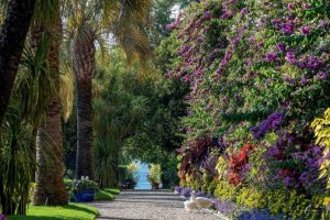 I giardini del lago Maggiore nel circuito Grandi Giardini Italiani