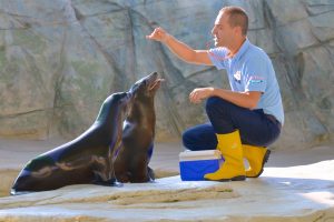 Gardaland Sea Life Aquarium impegnato nell’edutainment