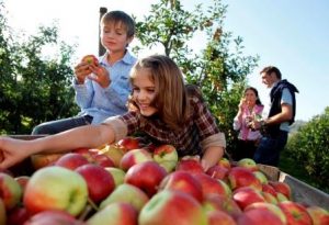 Autunno di eventi sul lago di Costanza