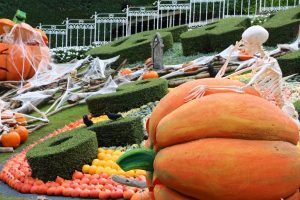 Gardaland a Ttg, ancora più forte grazie a Flixbus e Trenord