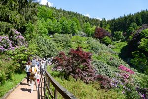Oasi Zegna incontra gli operatori a Rimini, outdoor in primo piano