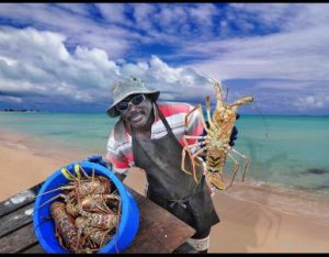 British Virgin Islands, si riparte con l’Anegada Lobster Festival