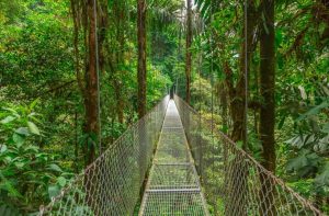 Costa Rica e “Cruise & Relax” ai Caraibi tra le novità di Eden Made