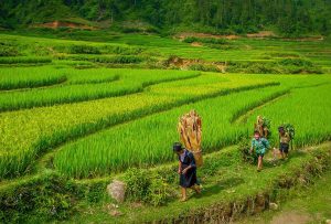 Asiatica Travel: il 12 febbraio un reportage sul Vietnam