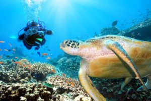 Tahiti Tourisme presenta l’offerta diving all’Eudi Show di Bologna