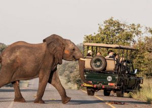 Il Botswana affida la promozione in Italia a Interface Tourism