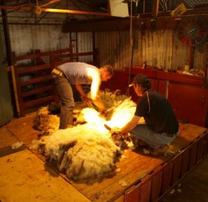 South Australia: le tradizioni al Big Bend By Night