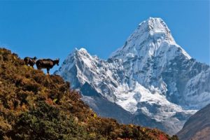 Earth Cultura e Natura lancia i Comfort Trek sull’Himalaya