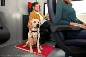 Italo, viaggio in treno gratis in estate per i cani di grossa taglia