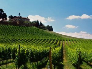 Franciacorta, con i personal sommelier di Stappo alla scoperta delle “strade dei vini”