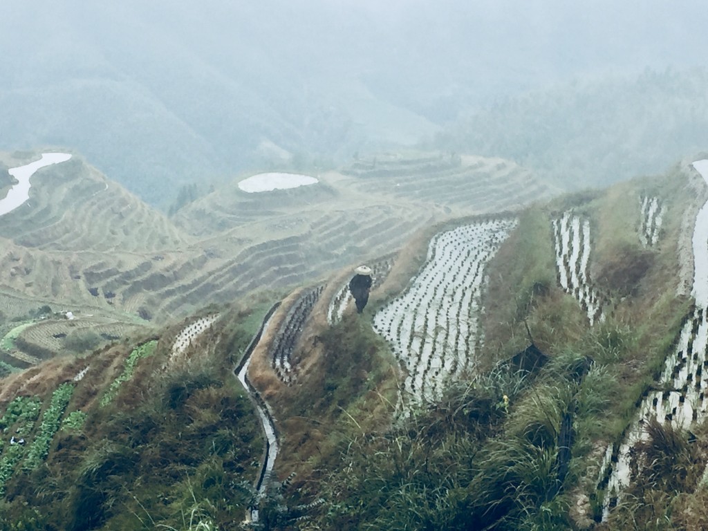 Dgv Travel: viaggi in Cina da specialisti