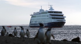 Crociere tra i pinguini in Patagonia e Terra del Fuoco con Australis