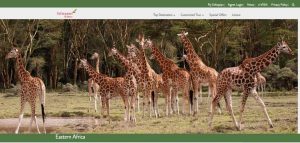 Ethiopian Holidays rinnova il sito web