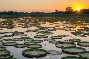 Tour2000AmericaLatina, Brasile in self drive tra Bonito e Pantanal