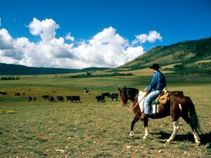 The Great American West, un nuovo brand promuove cinque stati Usa